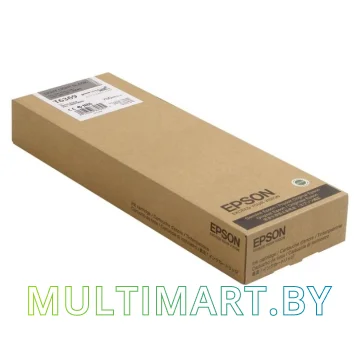 Картридж Epson C13T636900